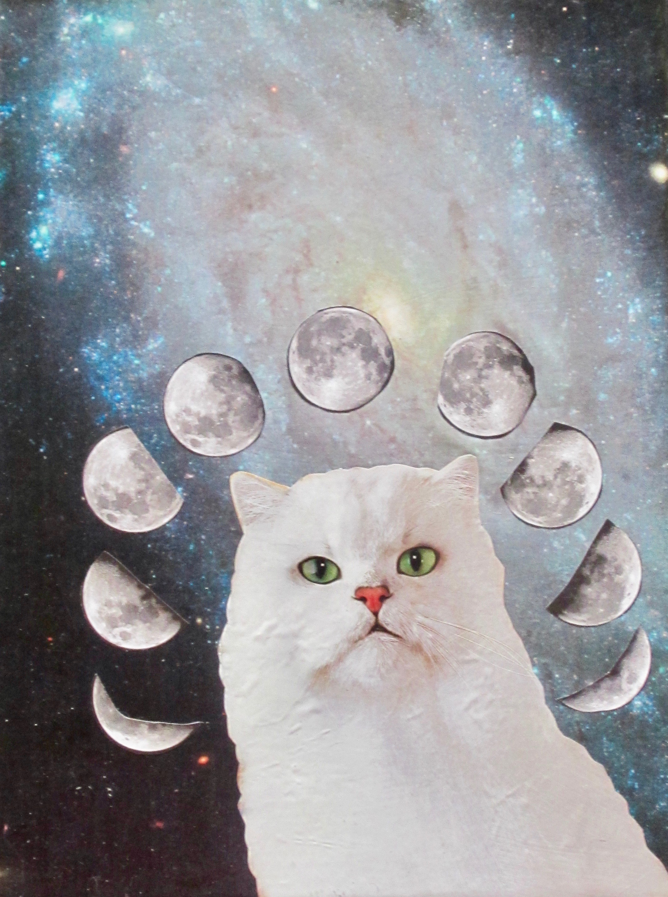 "The Cat of Many Moons"