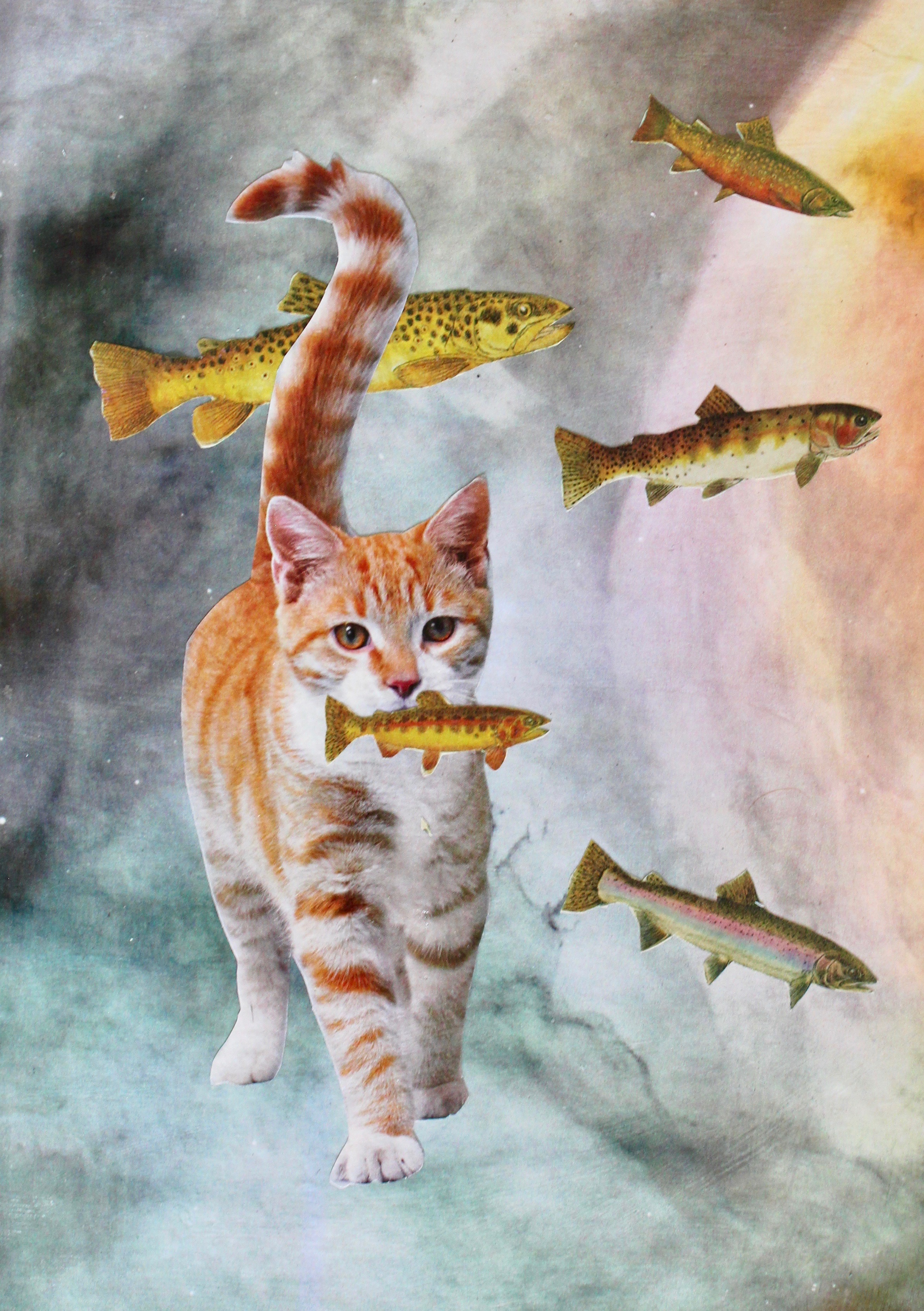 "Fish Tales"