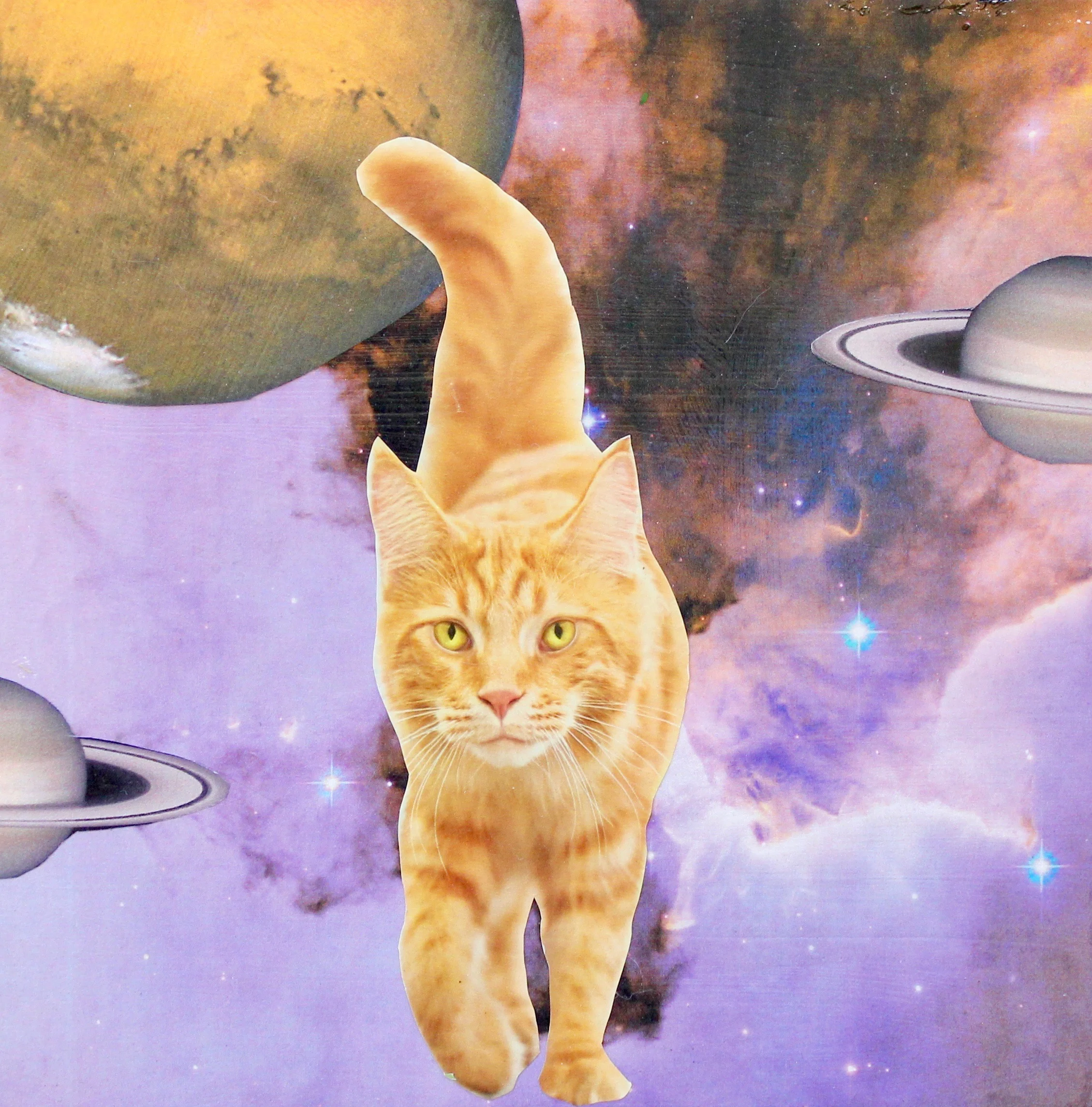 “The Cat that Conquered Worlds”