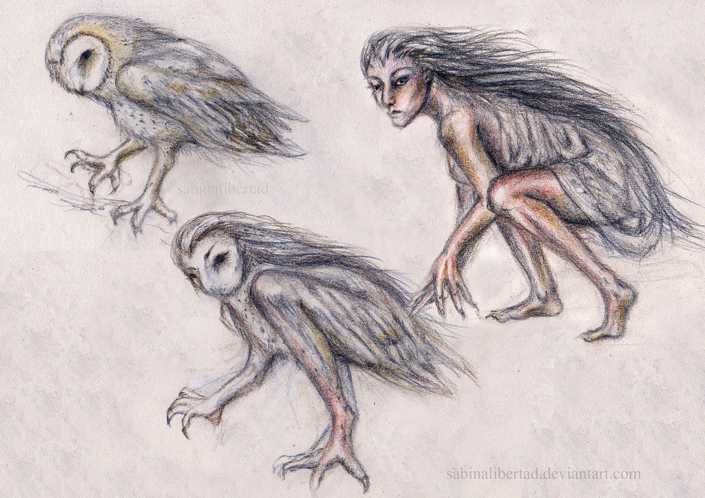 Owl - witch transformation. Photo credit: sabinalibertad.deviantart.com