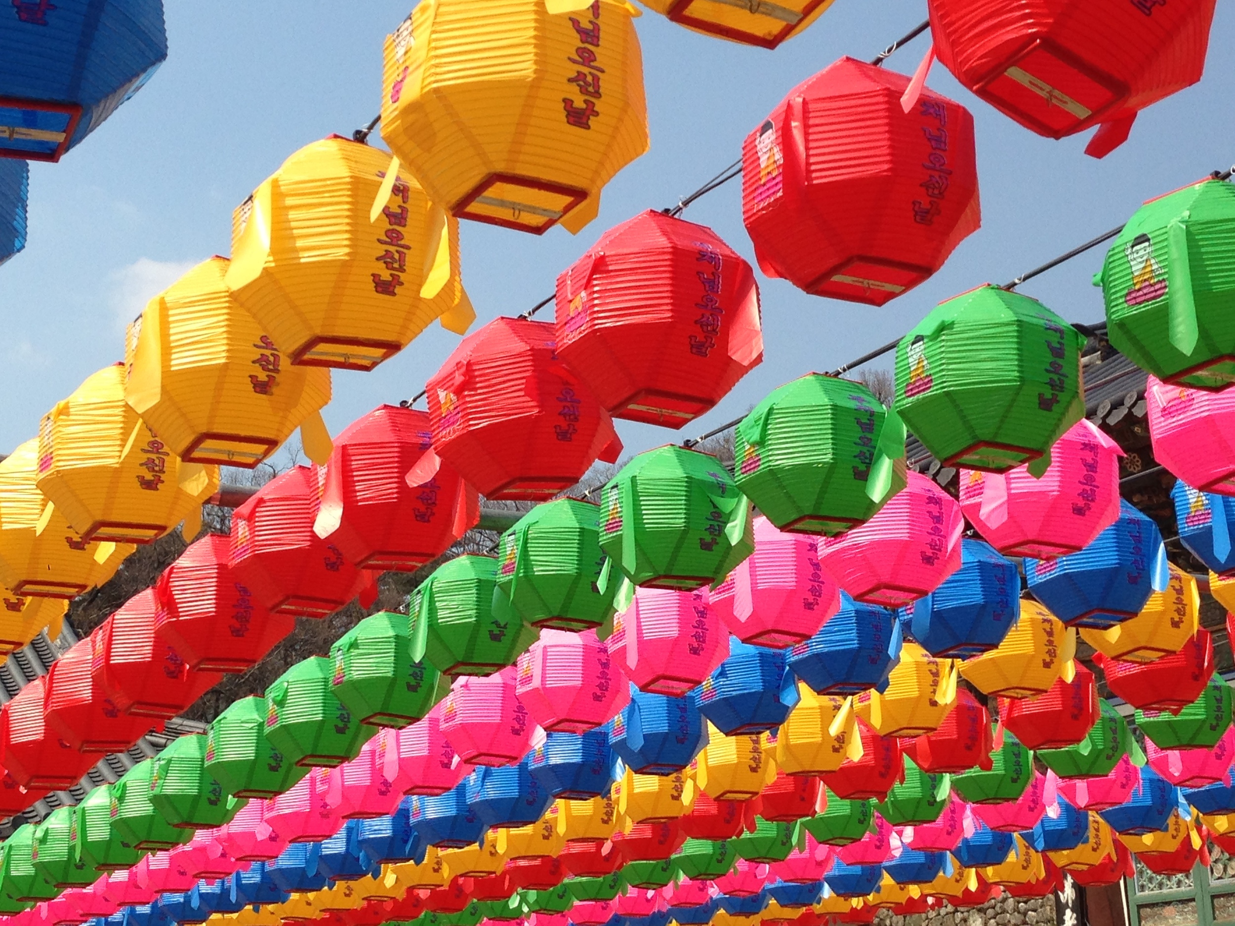 The lovely lamps at Donghwasa Temple 