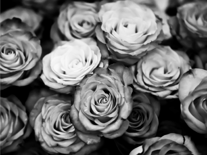 End of year reflections, new year resolutions