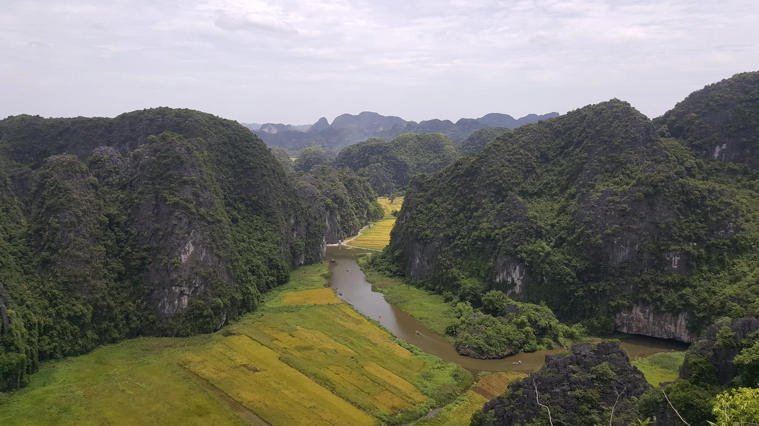 20180614_124855.jpg