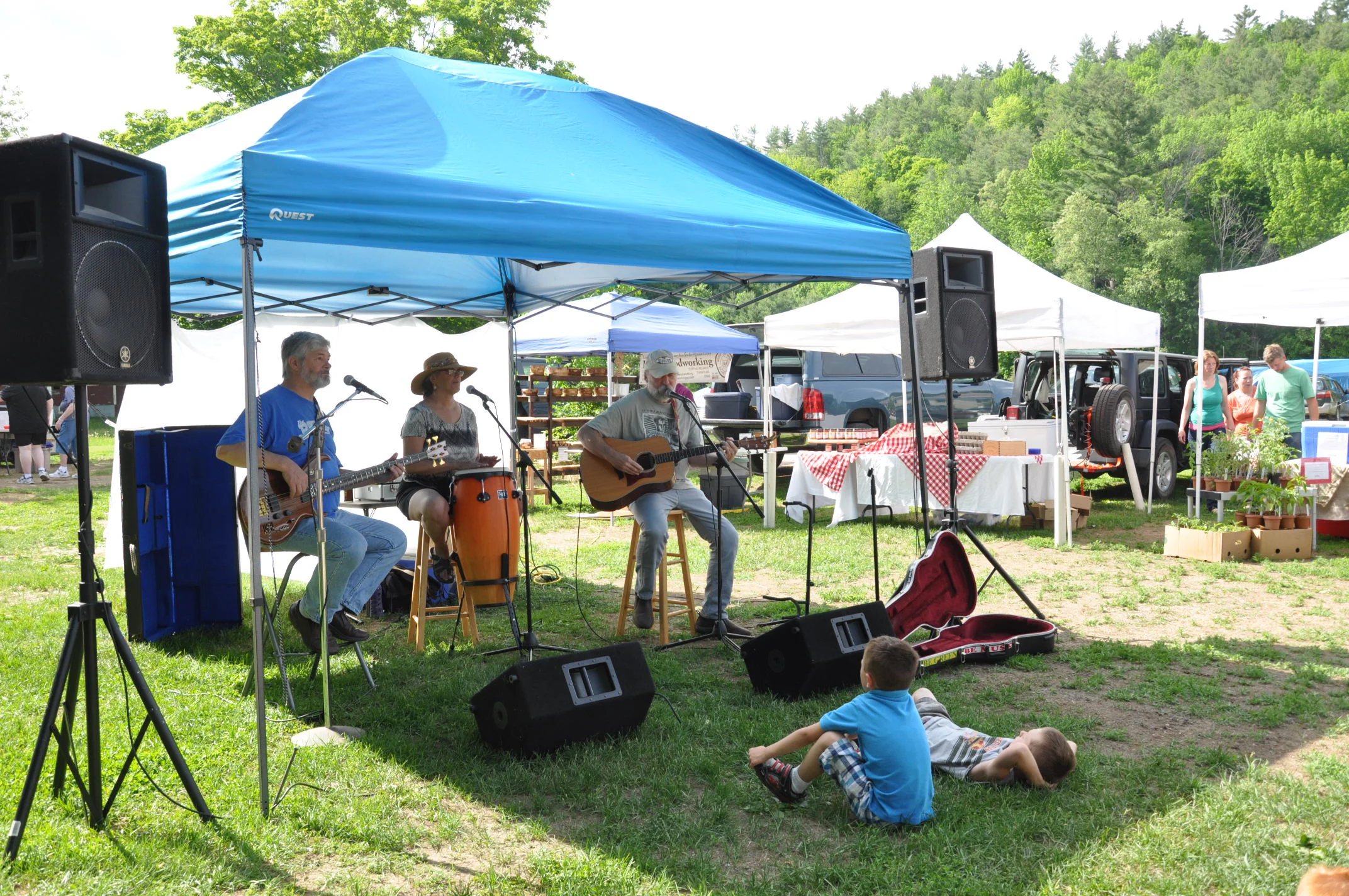 The Bluegrassoles