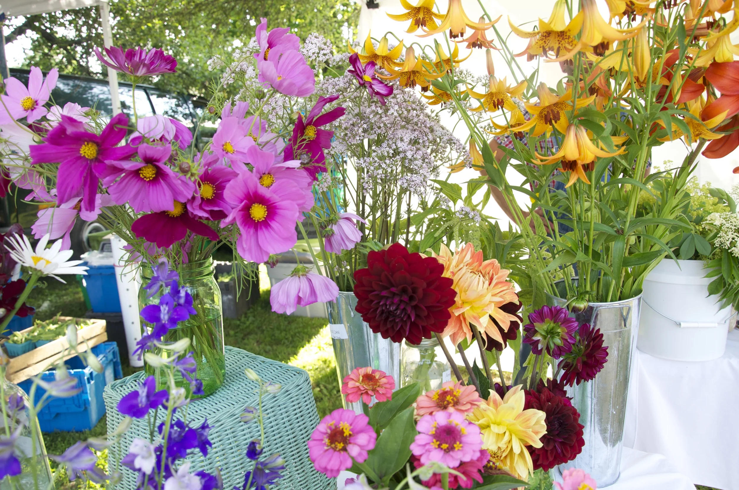 Foxglove Farms