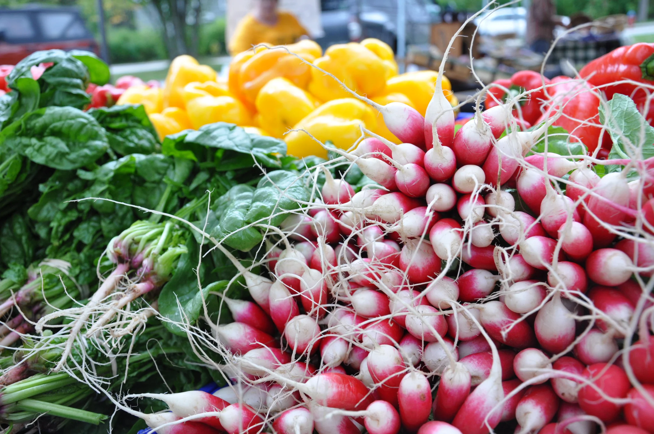 Deep Meadow Organic Farm