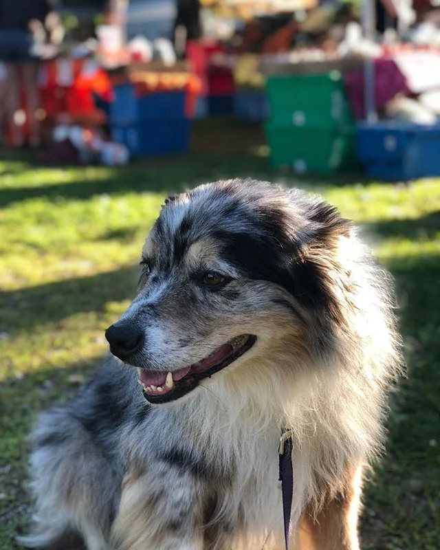 Ludlow Farmers Market Vermont