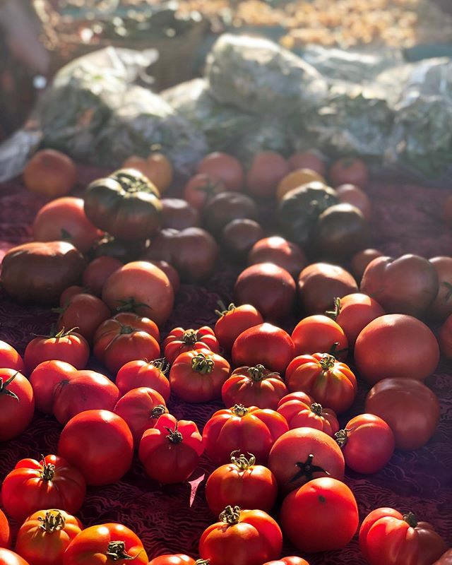 Ludlow Farmers Market Vermont