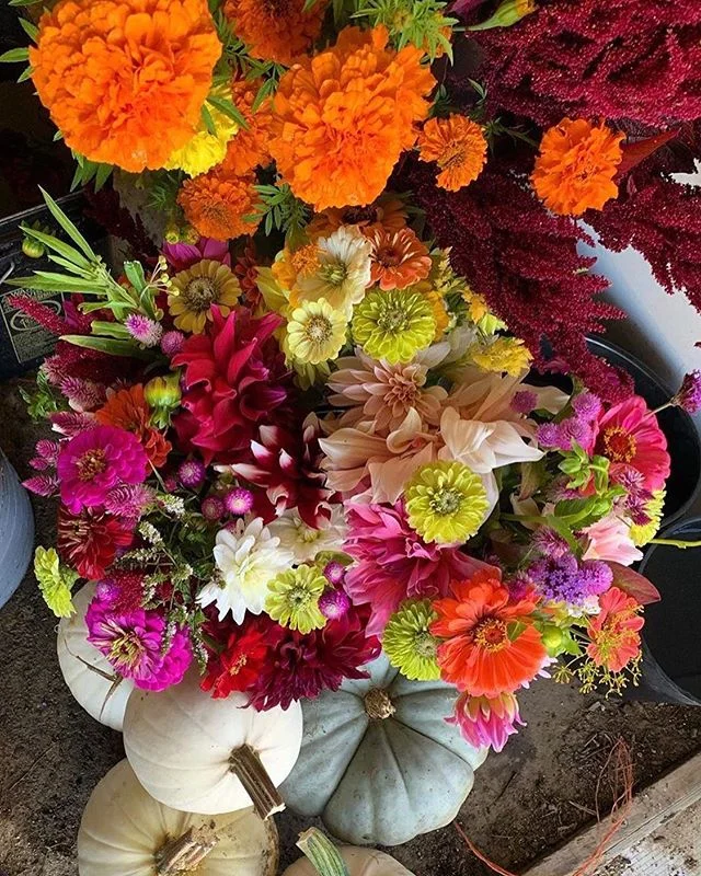 Ludlow Farmers Market Vermont