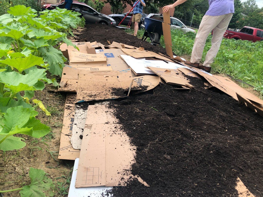 Who likes lasagna? 🙋&zwj;♀️
Who likes lasagna gardening? 🤔

Lasagna gardening is a method of preparing your soil by layering cardboard, compost, etc.

Benefits:
✅No tilling needed
✅Hello, rich and fluffy soil
✅More nutrients!
✅Turns cardboard to co