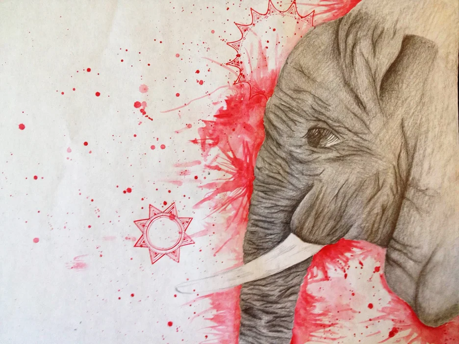 elephant.jpg