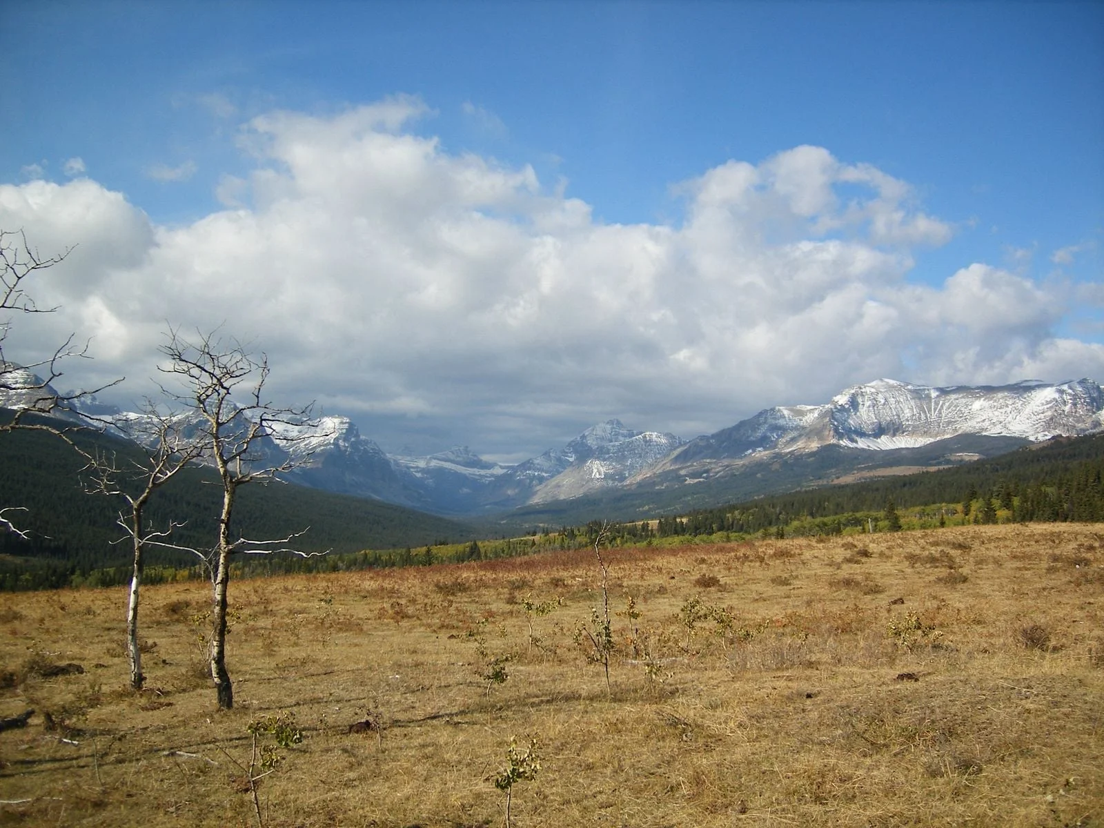 Run For Your Life, John Colter