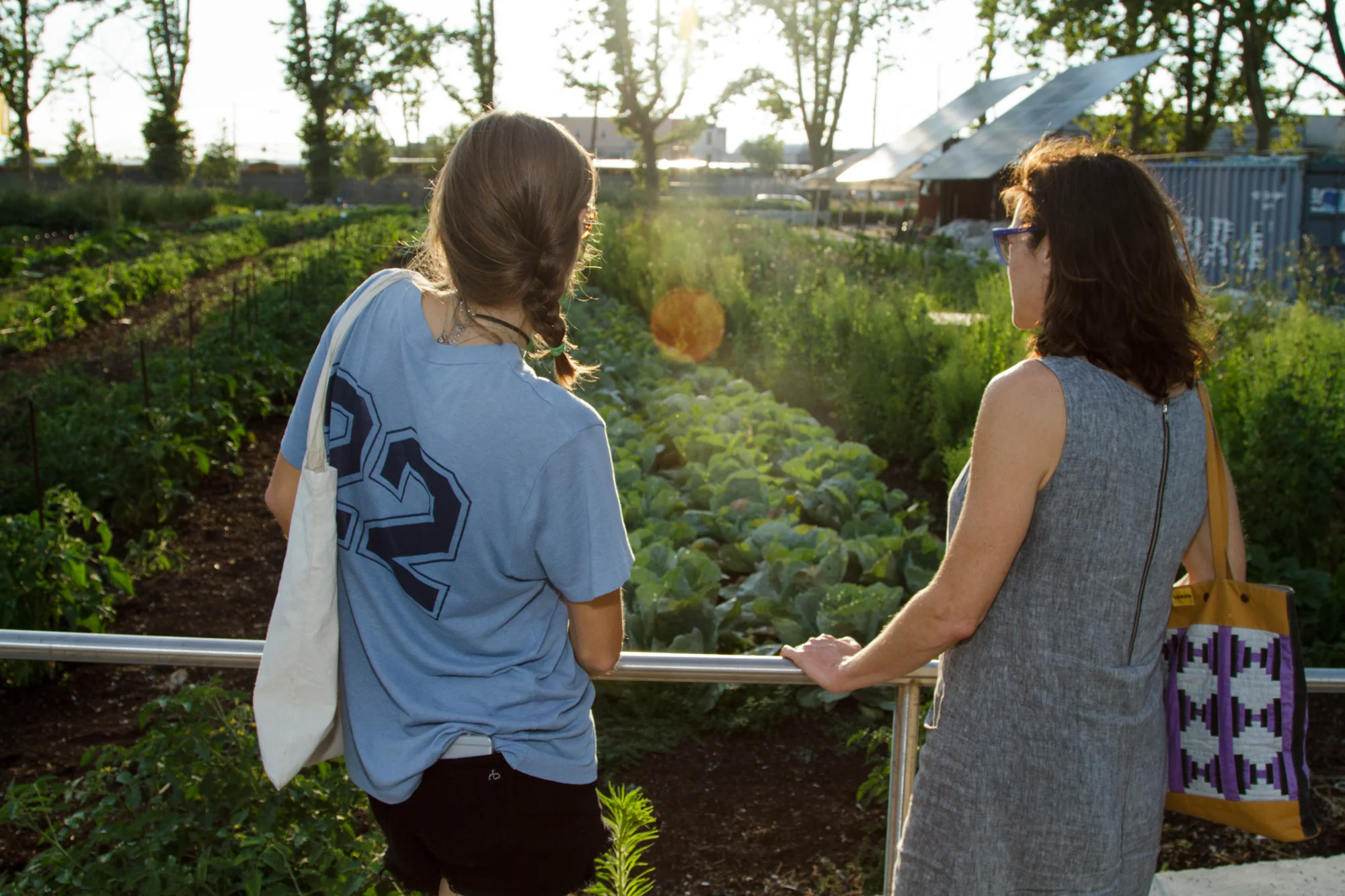 Red Hook Community Farm_Sherridon Poyer-0790.jpg