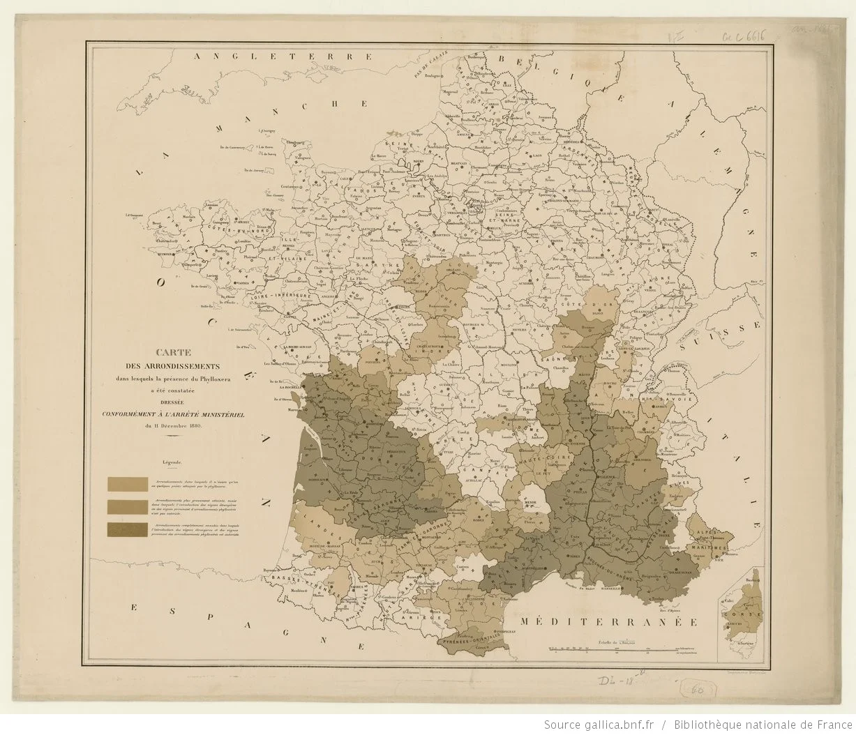 Maps of Europe showing the spread of Phylloxera in the 19th century.