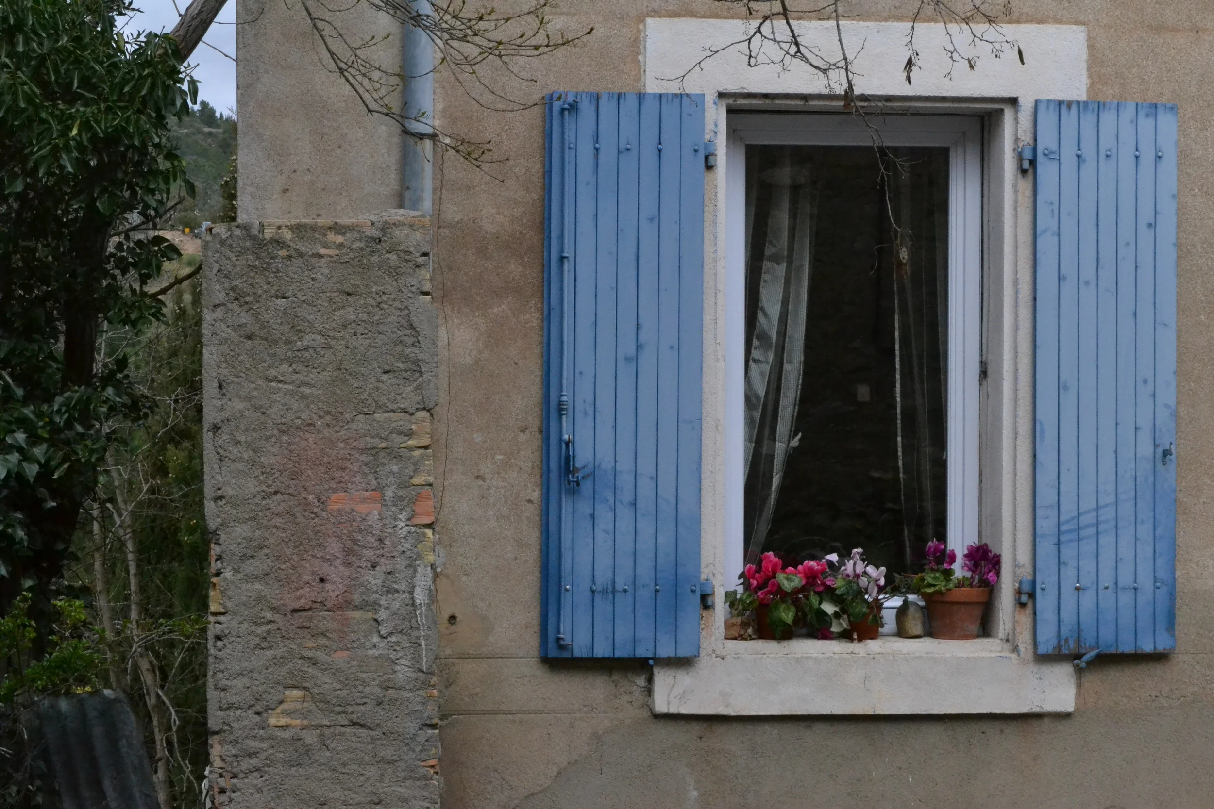 Region focus: Languedoc-Roussillon