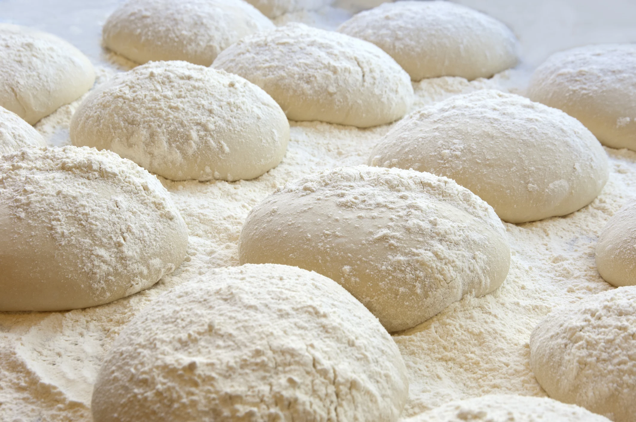 Tenzing’s Pizza Dough Recipe