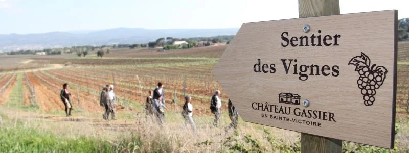 Exceptional Rosé from Sainte-Victoire in Provence. Château Gassier.