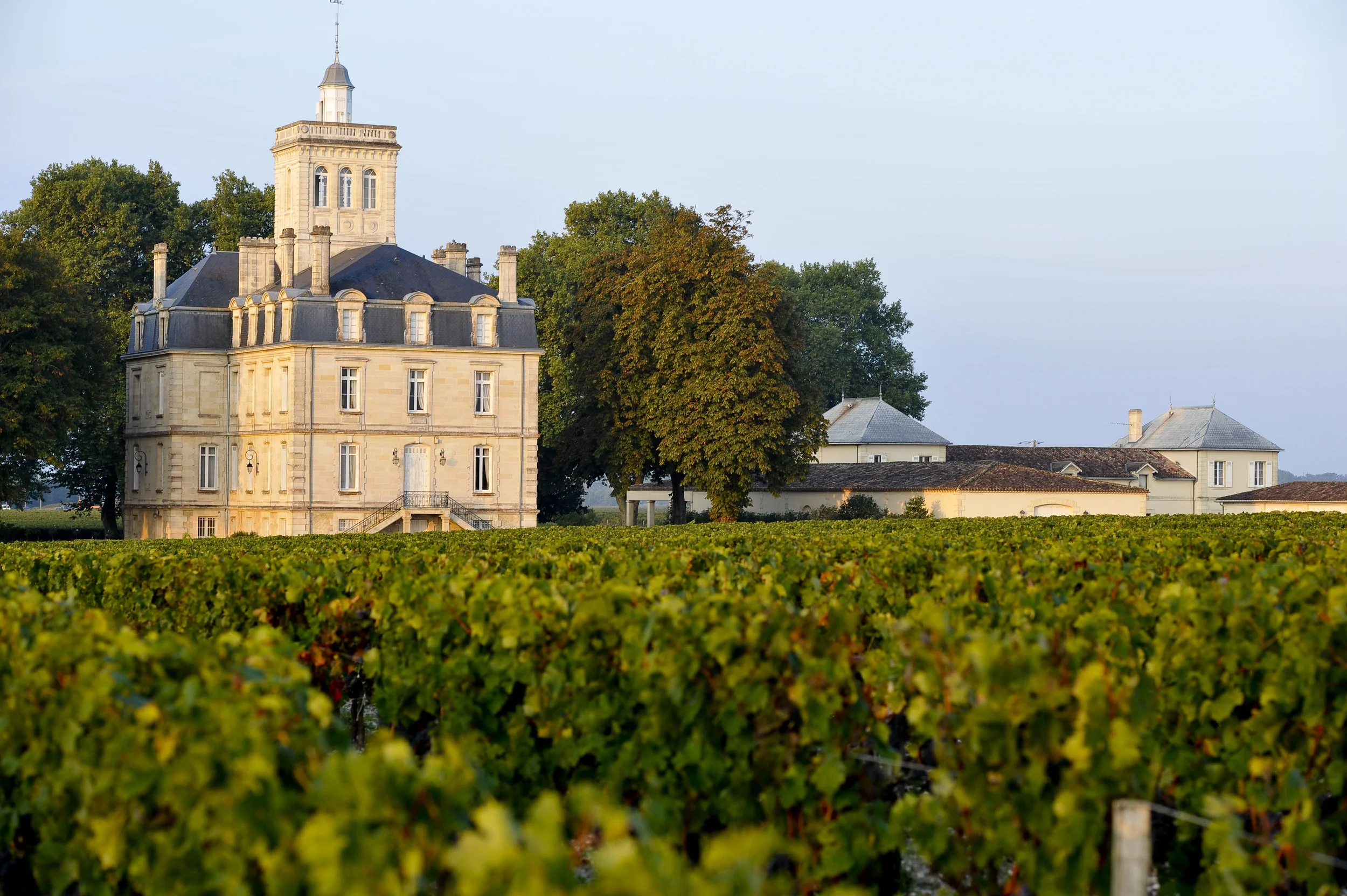 chateau_vignes.jpg