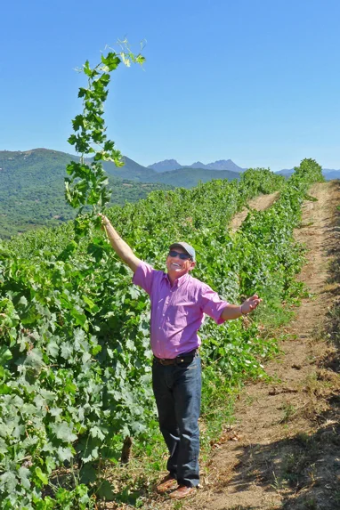 vineyards-abbatucci-2_web.jpg