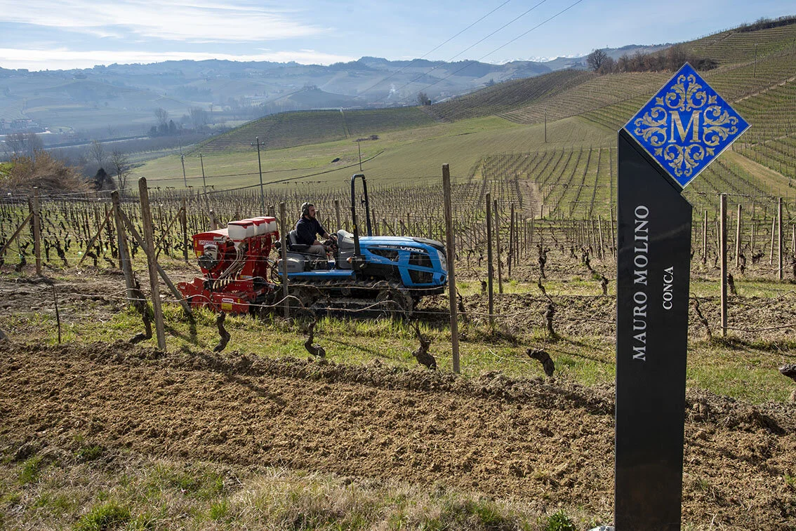 Lockdown in Italy: How one winery is spending it...