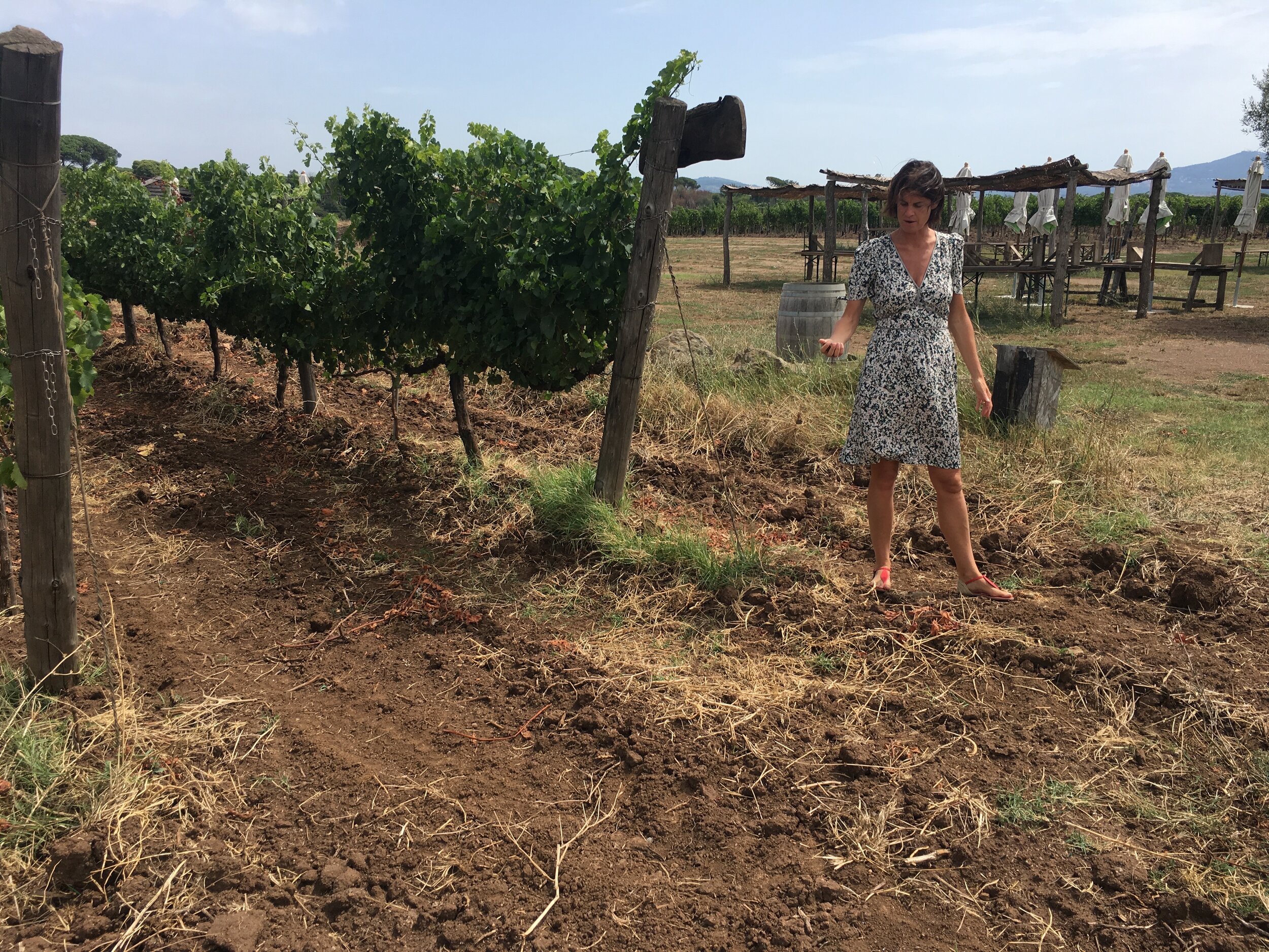 Alessia Antinori tour of vineyards at Villa Fiorano