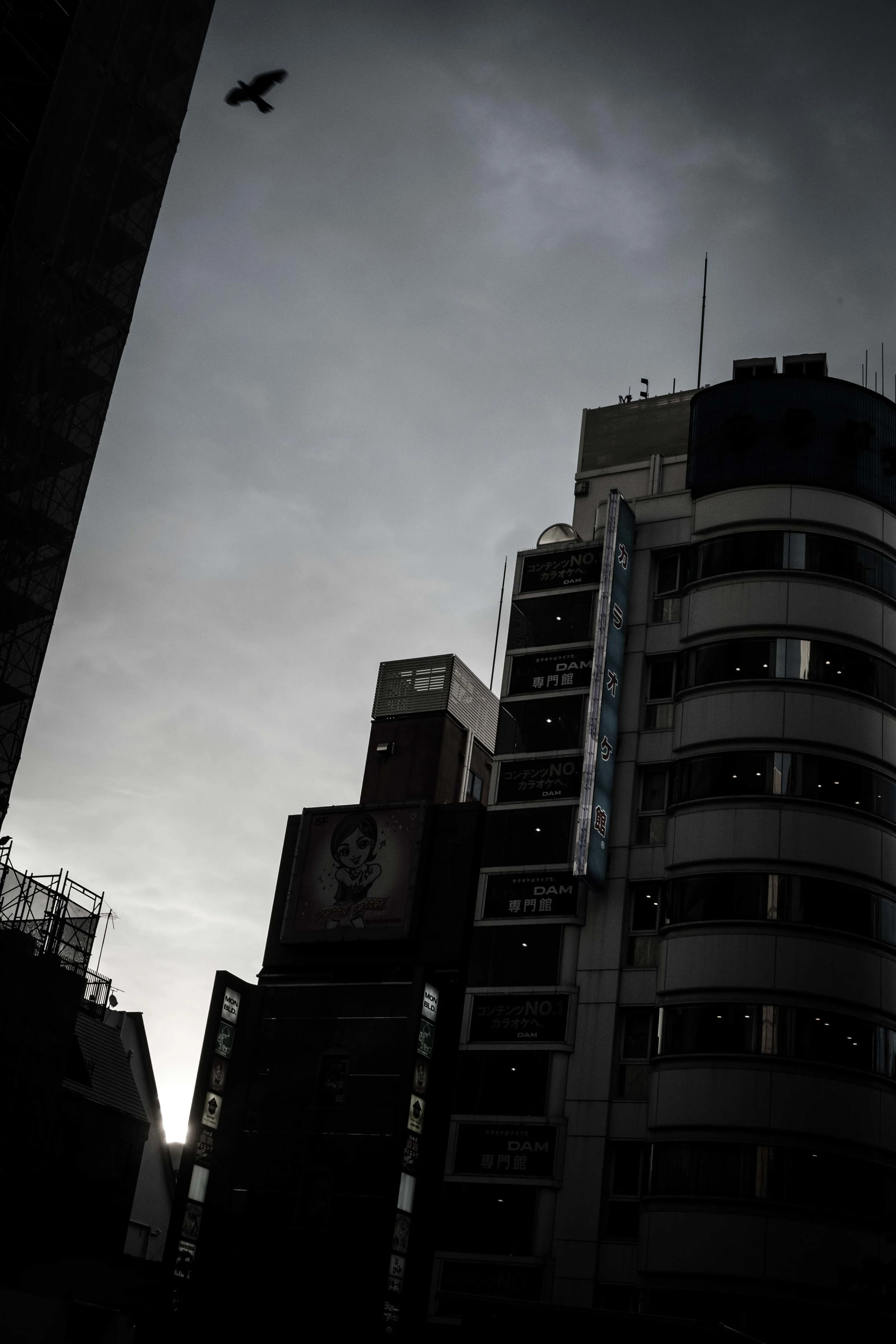  Shinjuku 