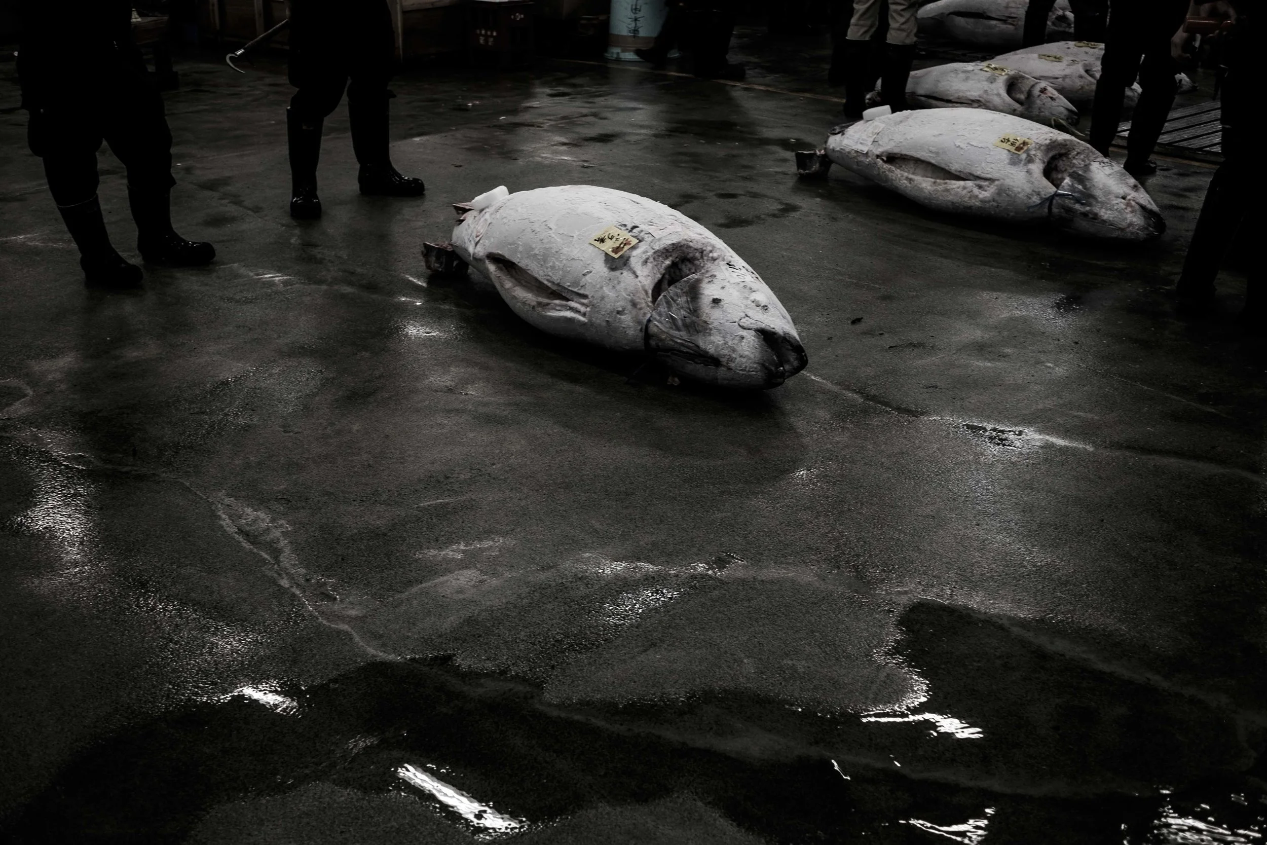  Tsukiji Outer Market 