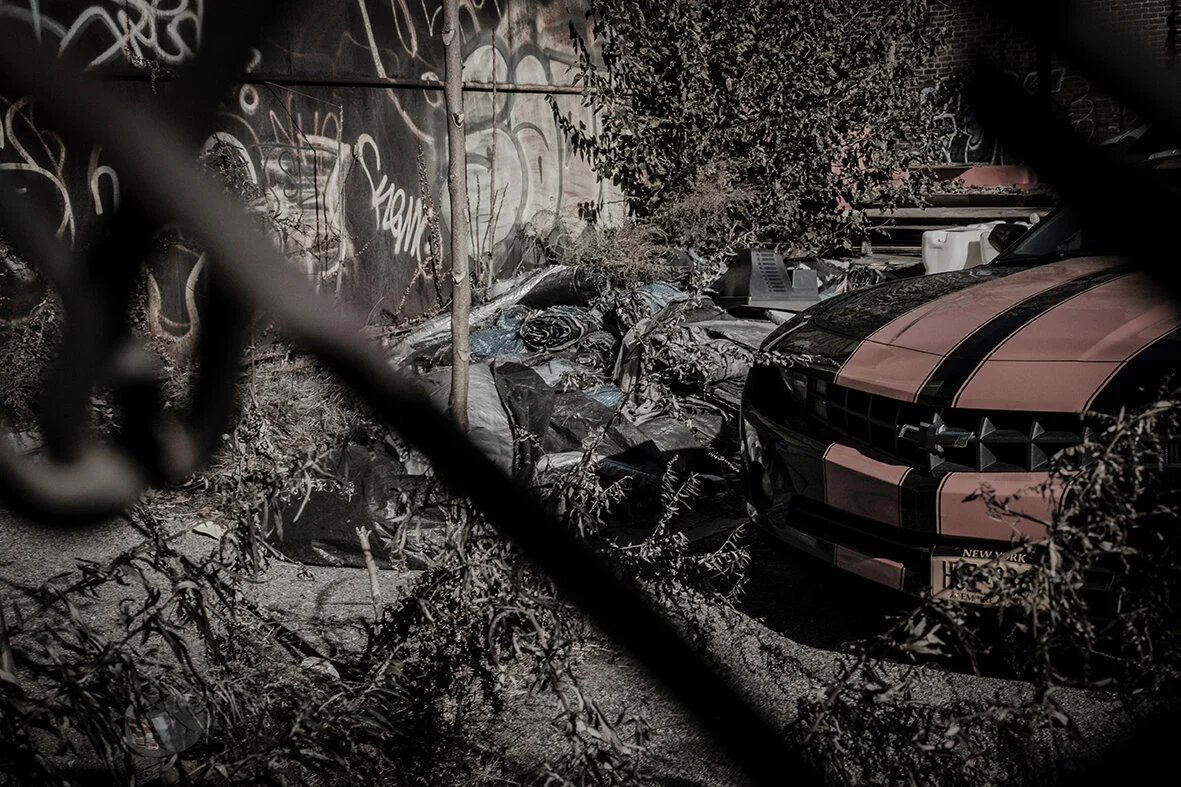  The Bronx 