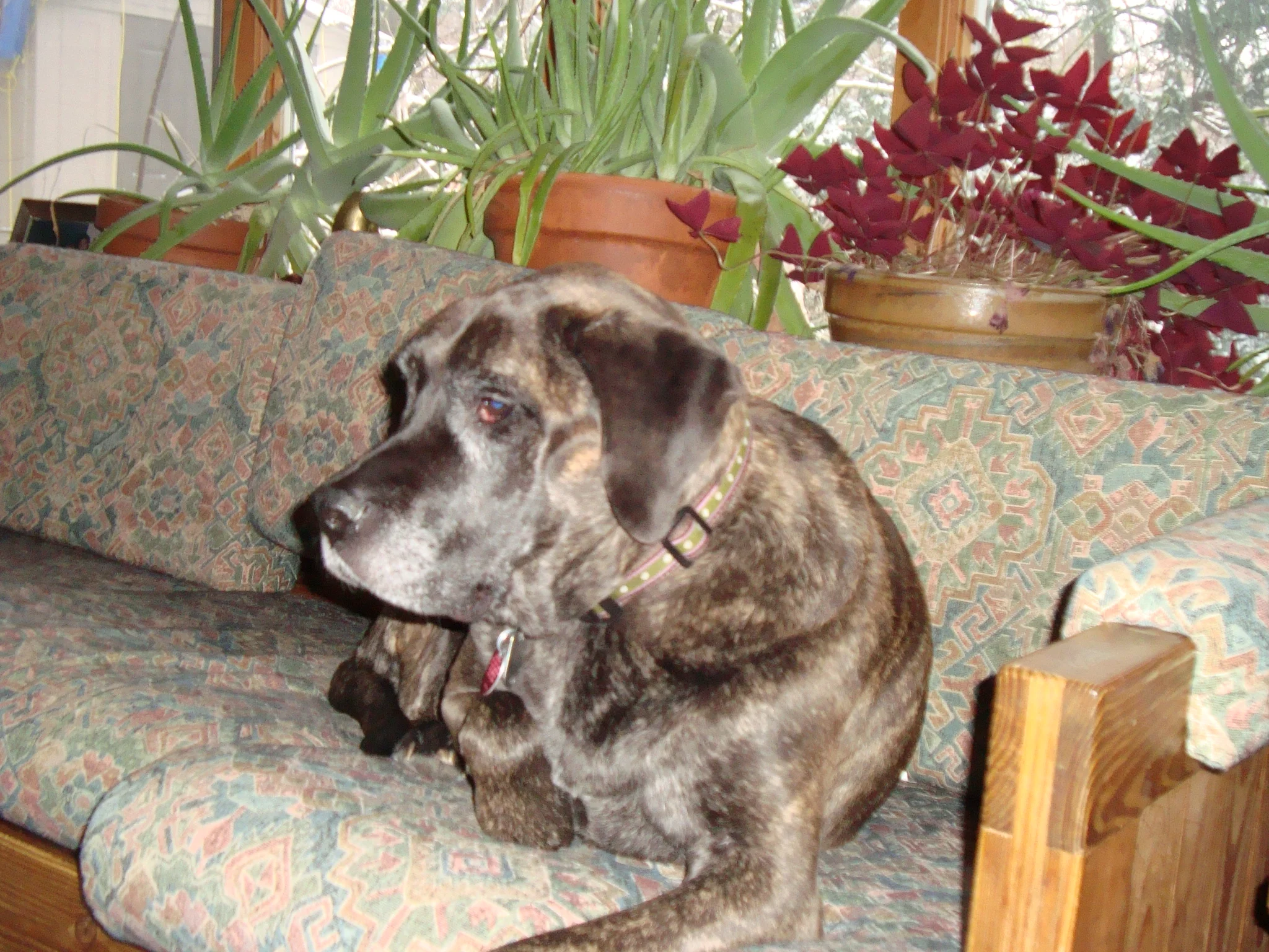 DSC00023.JPG