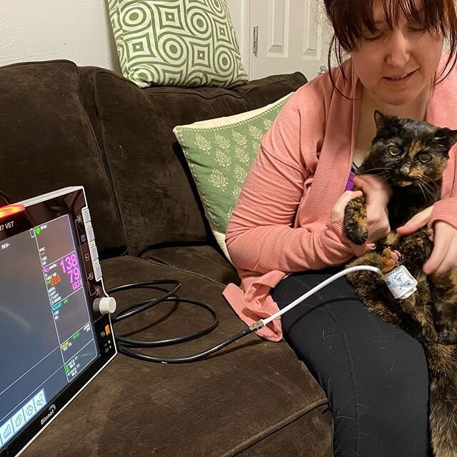 Mya getting ready for her in-hone blood pressure with her mommy holding her....
#makeadifference #bettercare #vow #calico