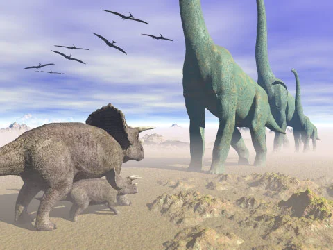 babytriceratops.jpg