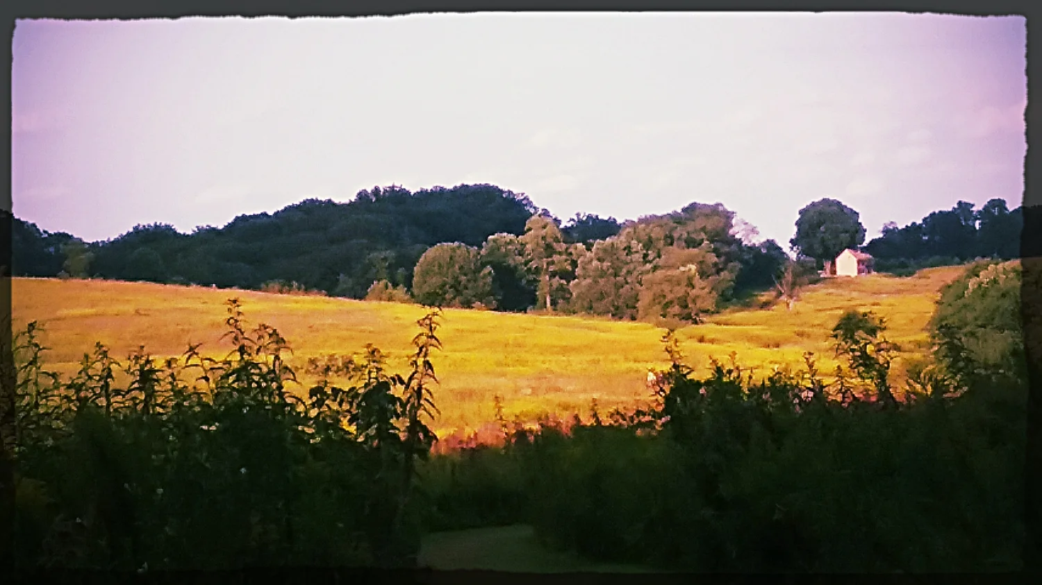20170903_180409.jpg