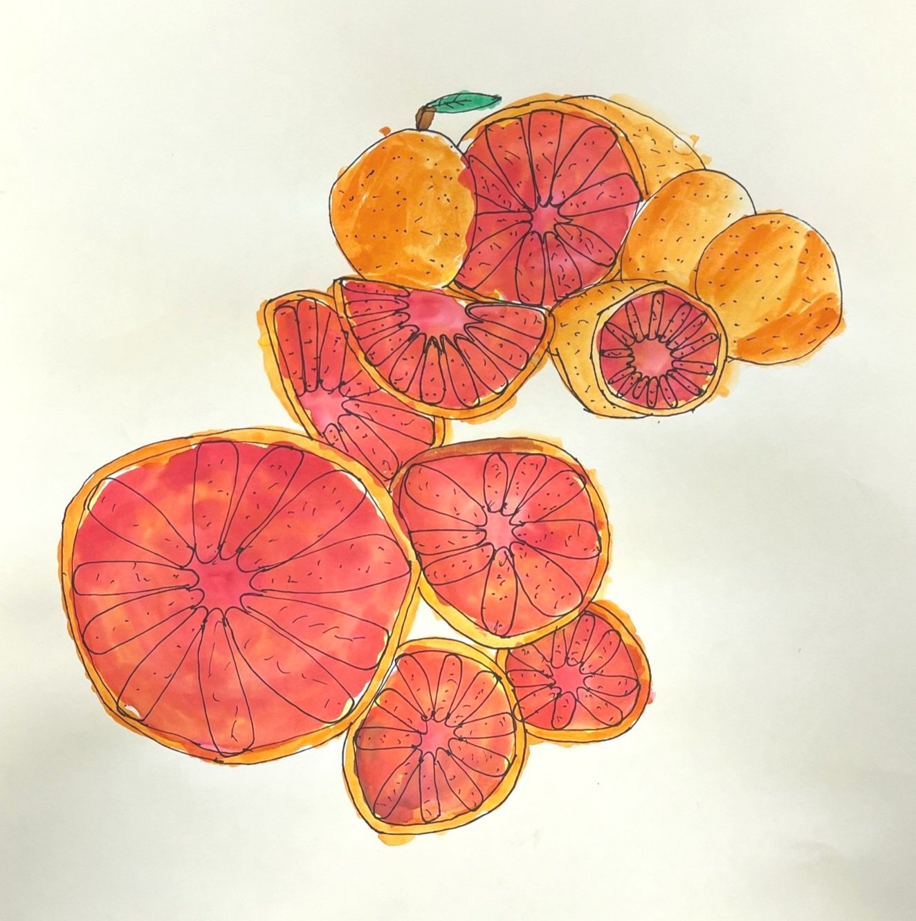 Citrus Explorations in Pen & Ink with Liquid Watercolor