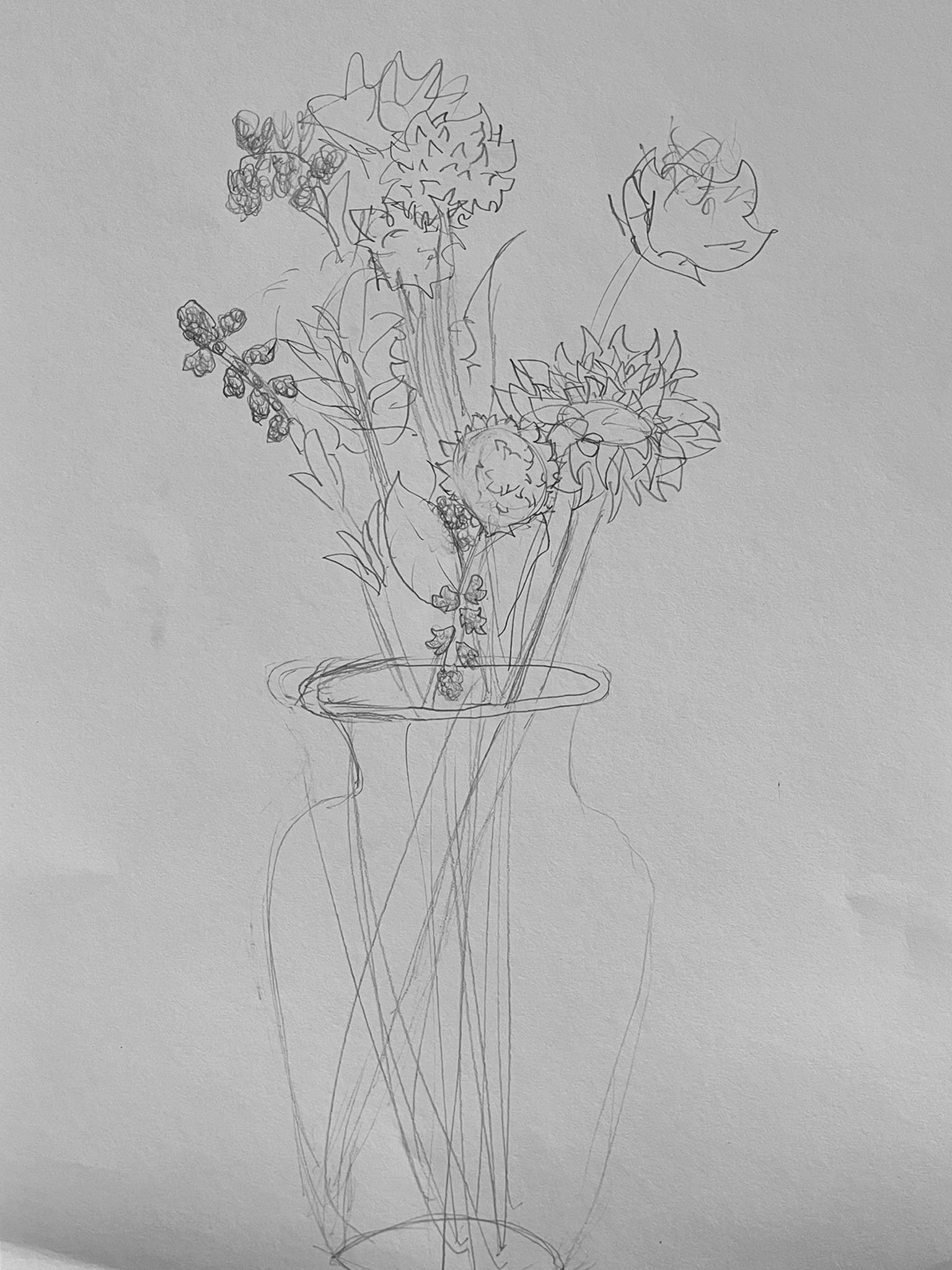 Flower Study in Pencil 