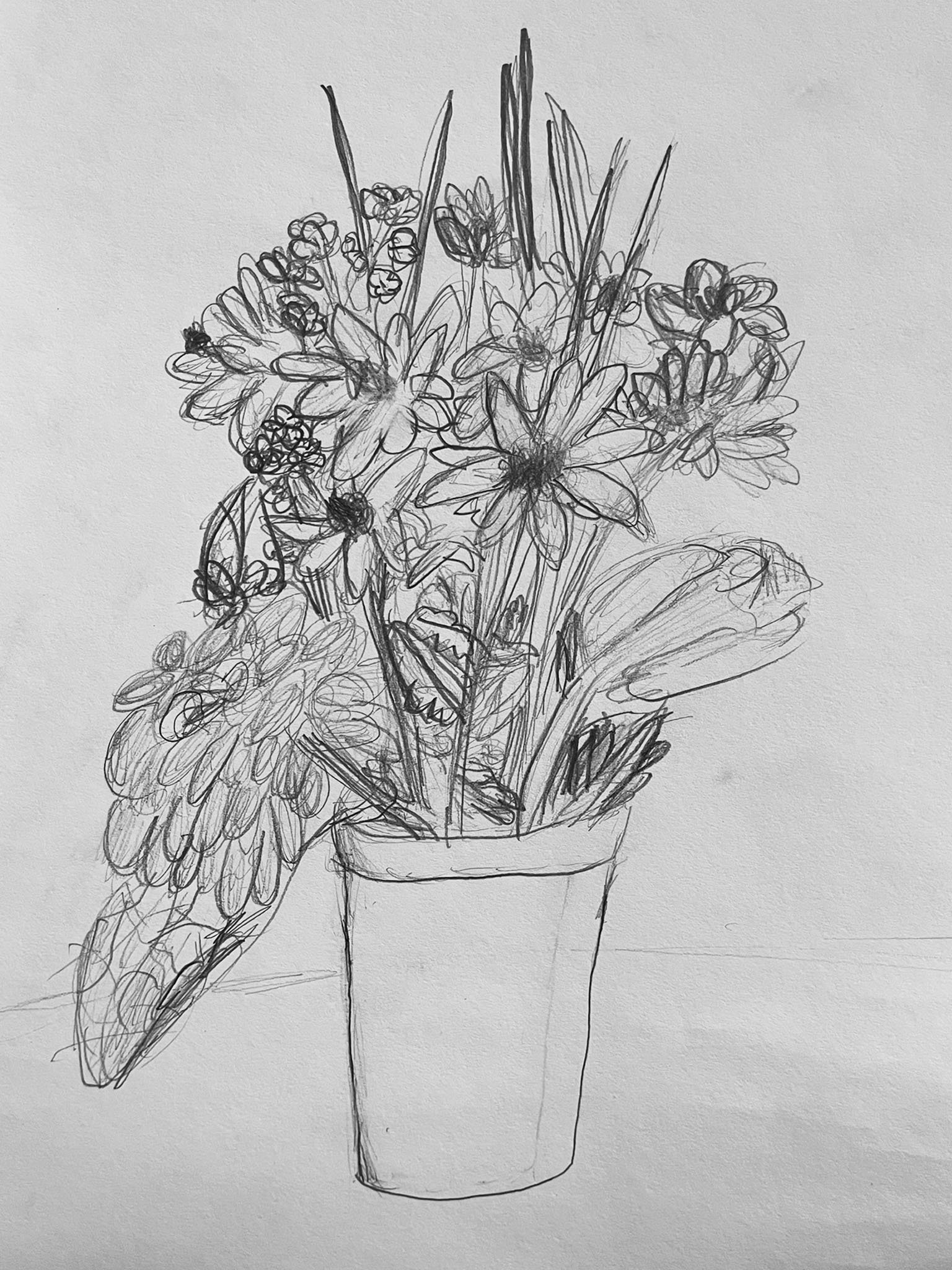 Flower Study in Pencil