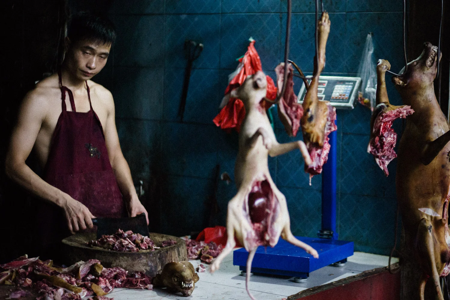 Dog Meat Market in Guilin, Guangxi, China