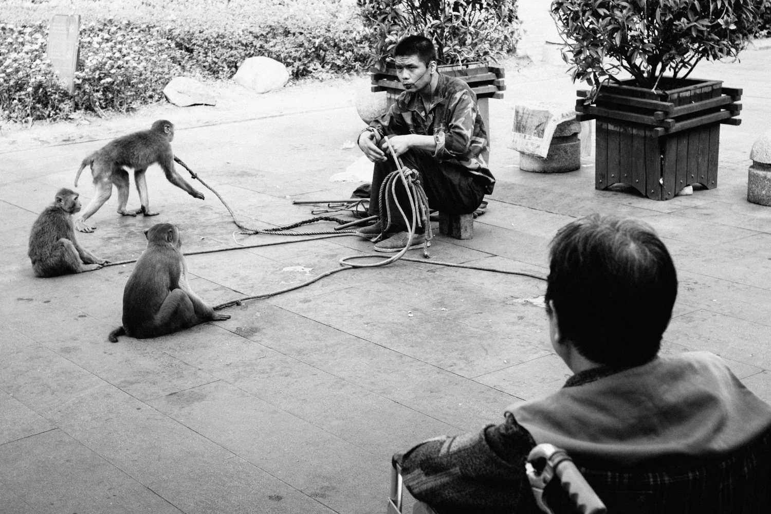 Monkey show in Guangzhou, China