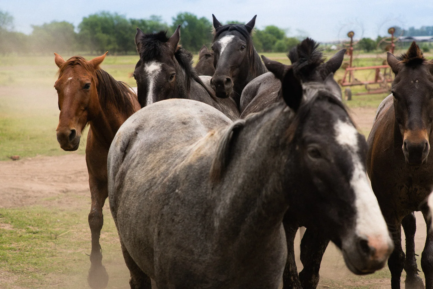 Estancia La Margartia, a few hours outside the city. Nice place to get drunk, ride horses, and eat a bunch of meat. 