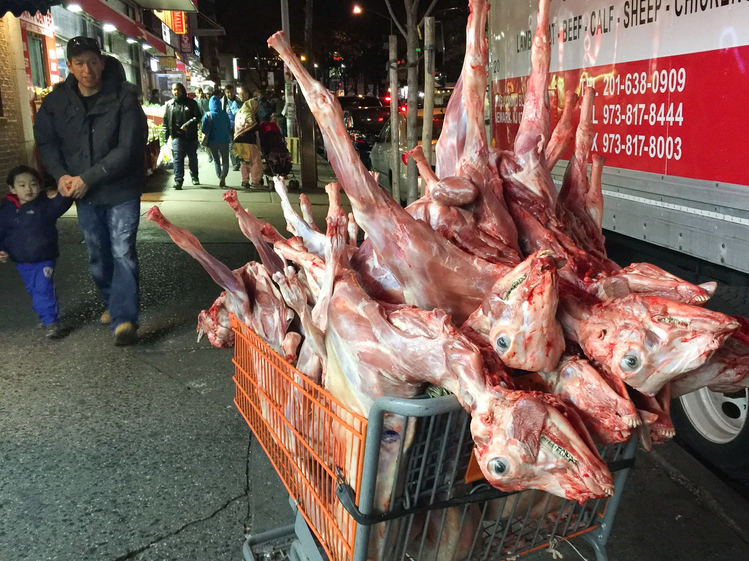 No fresher goat anywhere in the city than Jackson Heights! I warned you this blog isn't like the others. No holds barred here. 