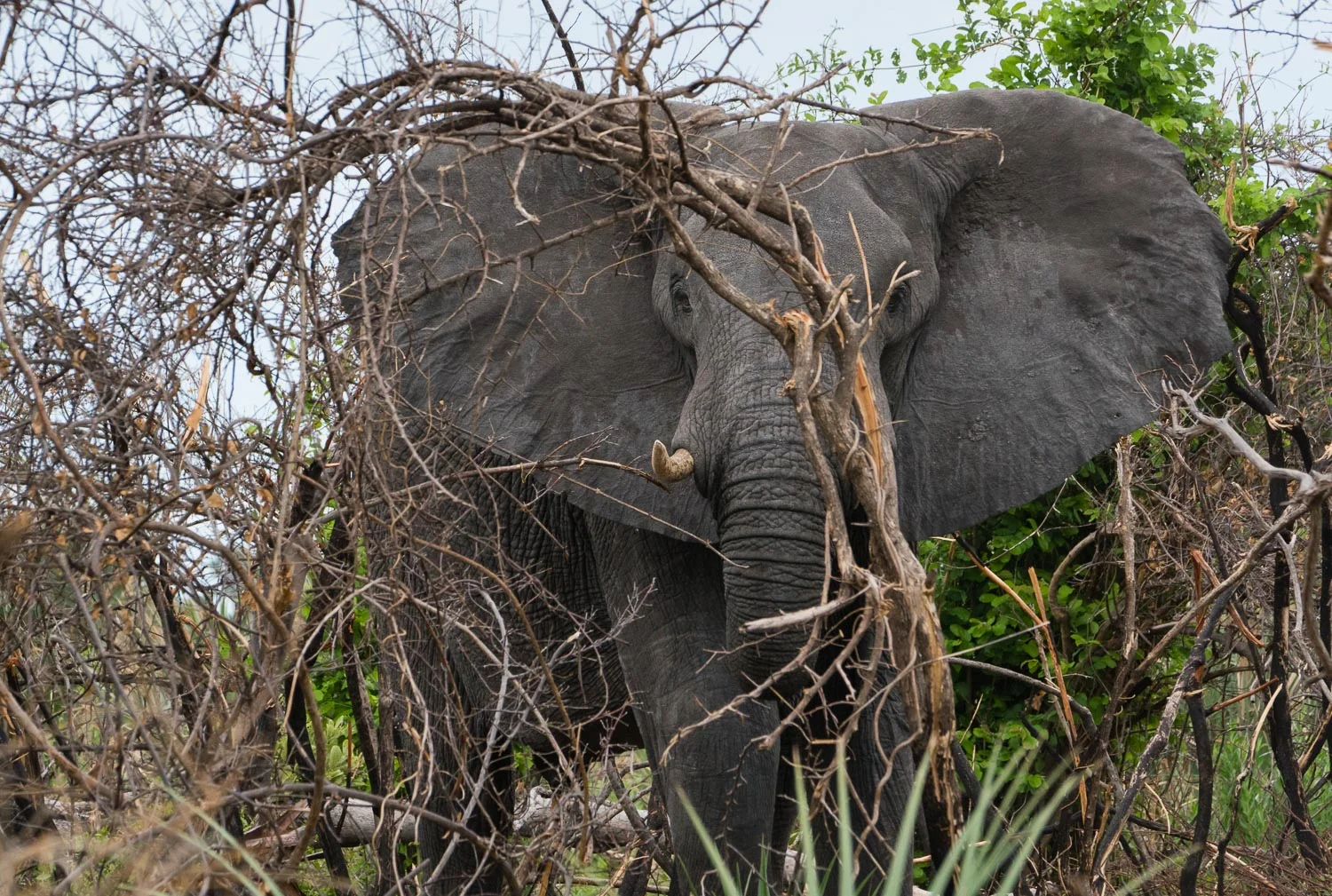South Africa