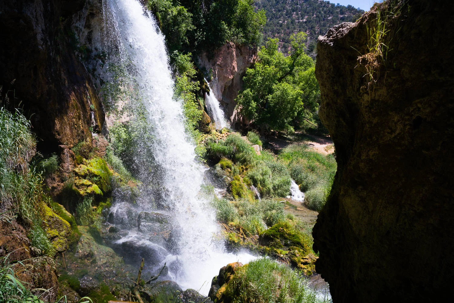 Rifle Falls.