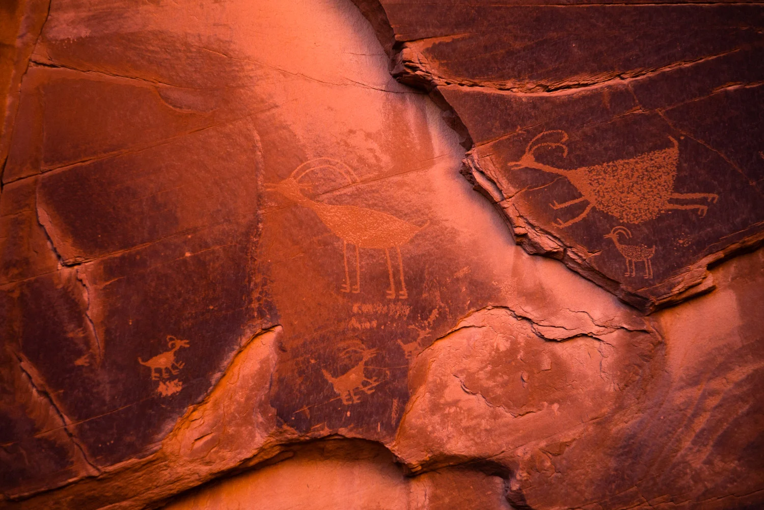 Ancient petroglyphs carved into the rock face of the Big Hogan.