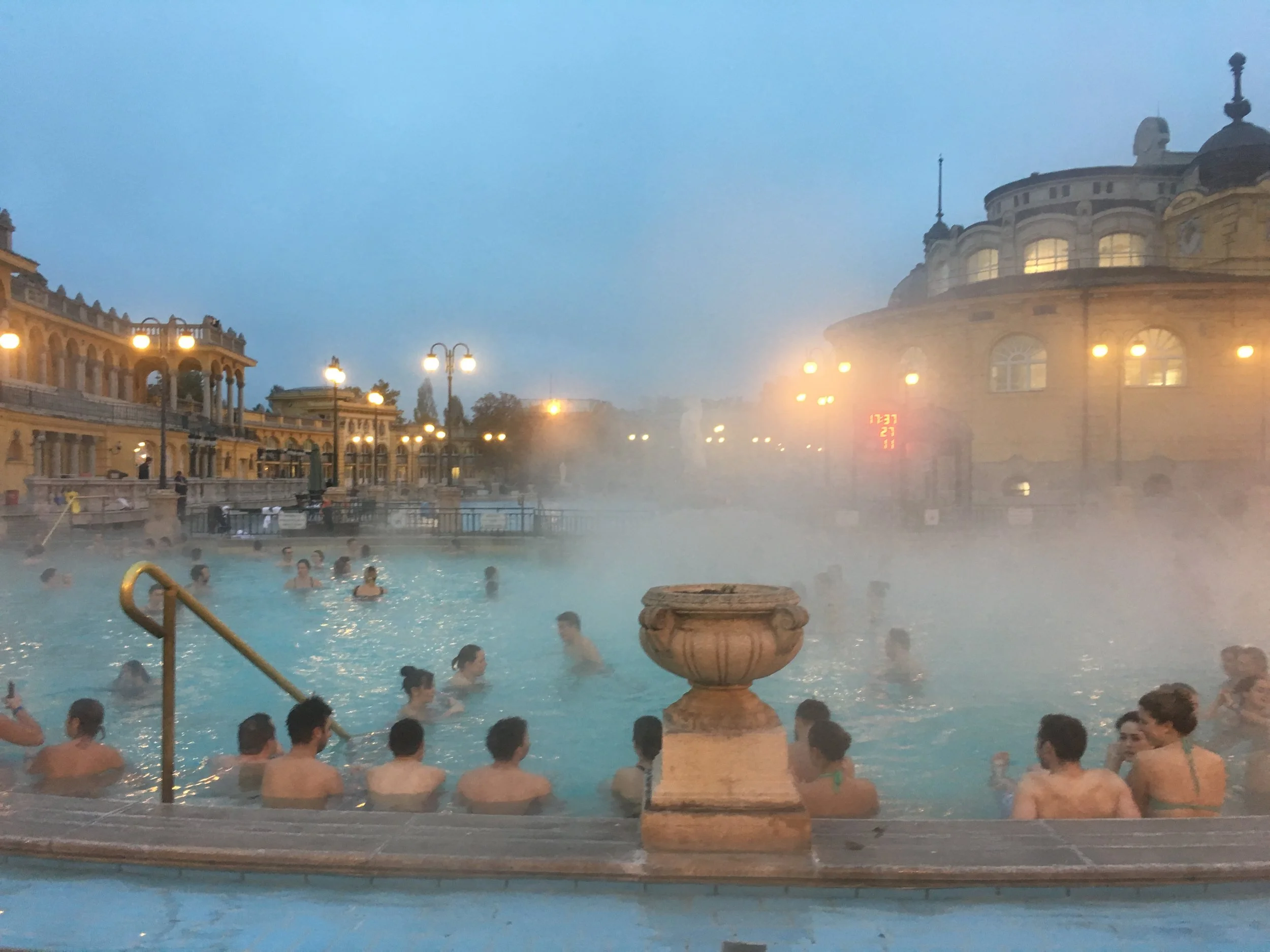 Turtles on the Move (Budapest!)