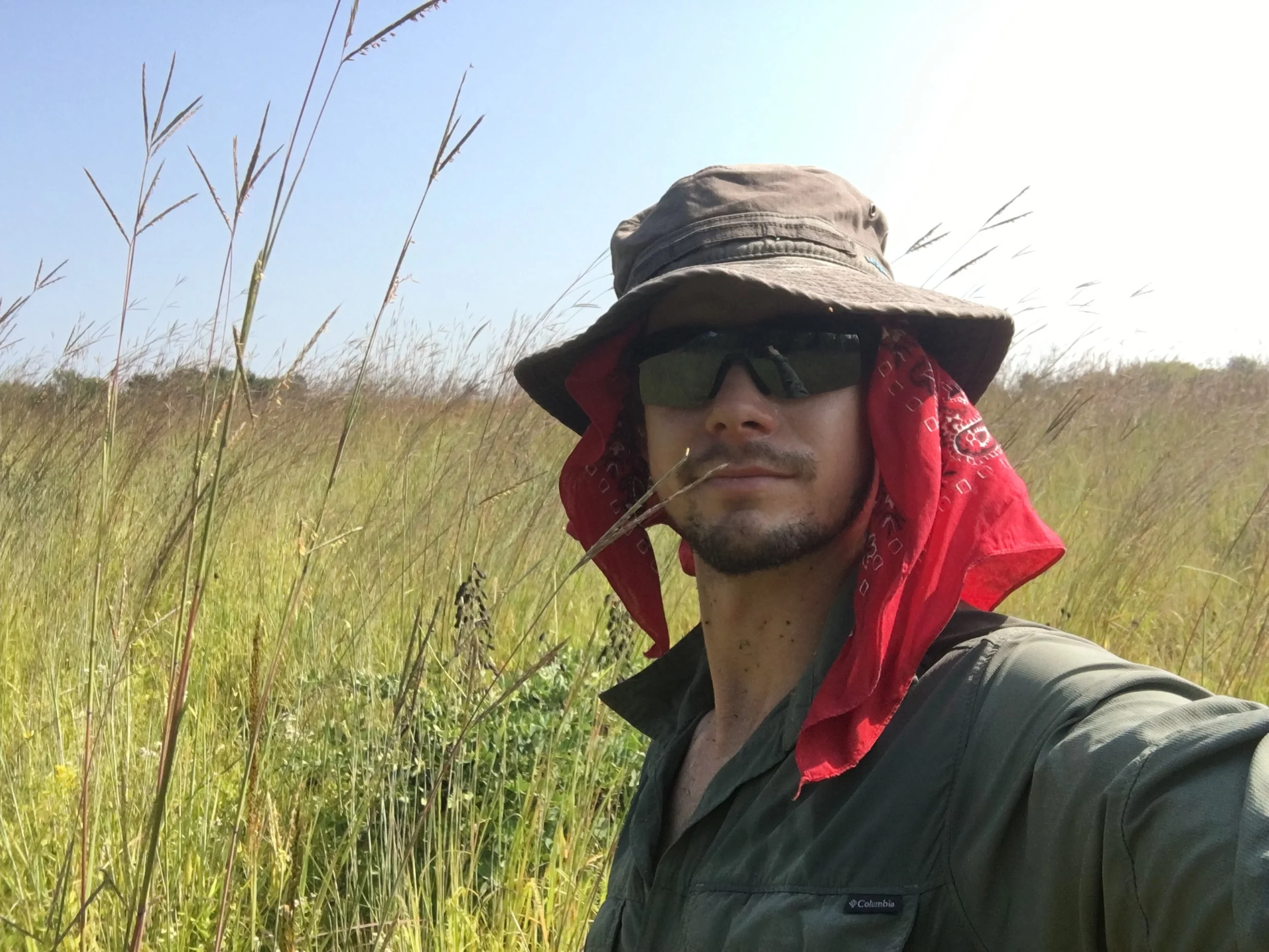 Working to restore Minnesota land back into its native state w/Photos