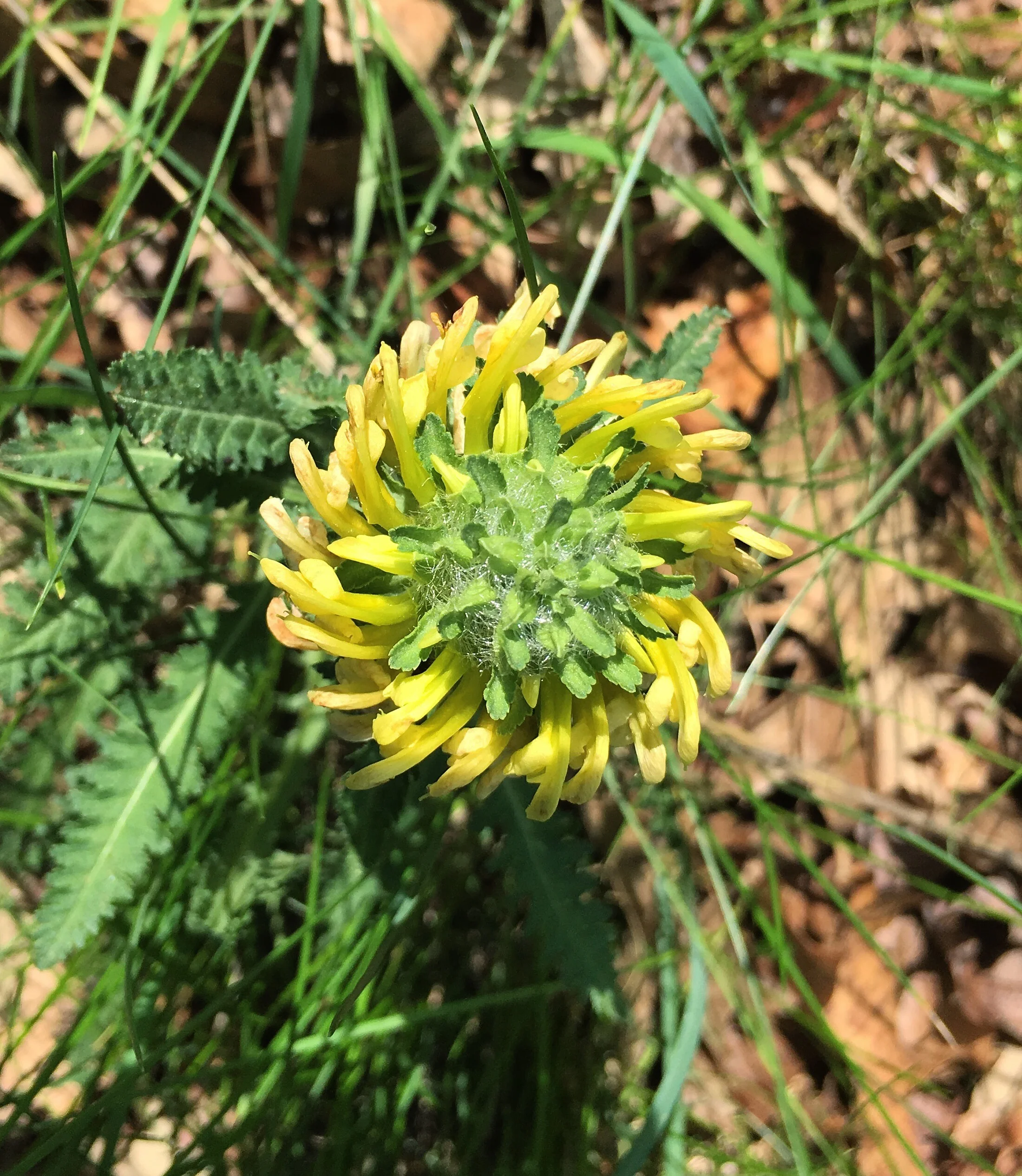 Spring comes to an end (Some points)