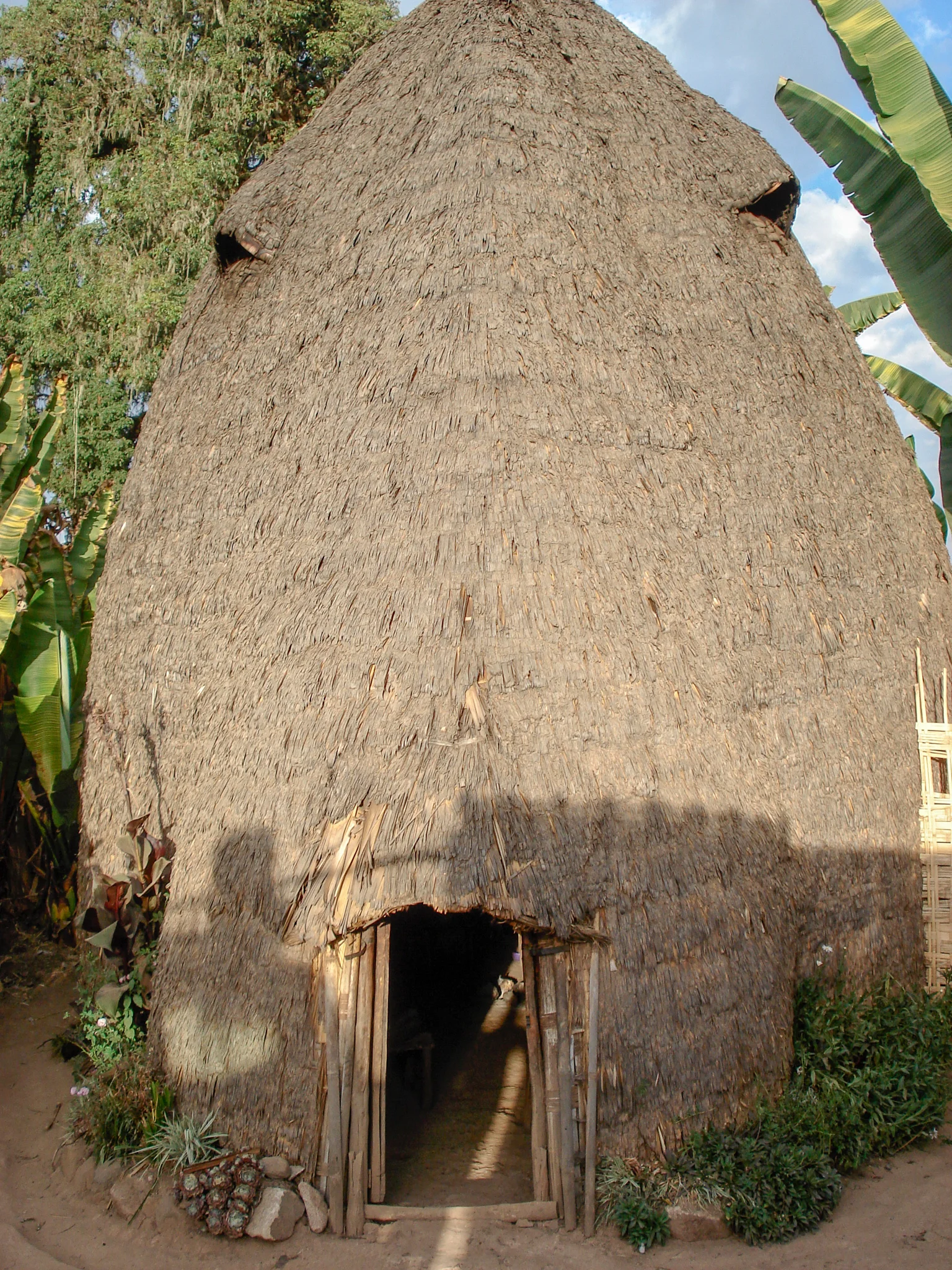 DSC01730.jpg