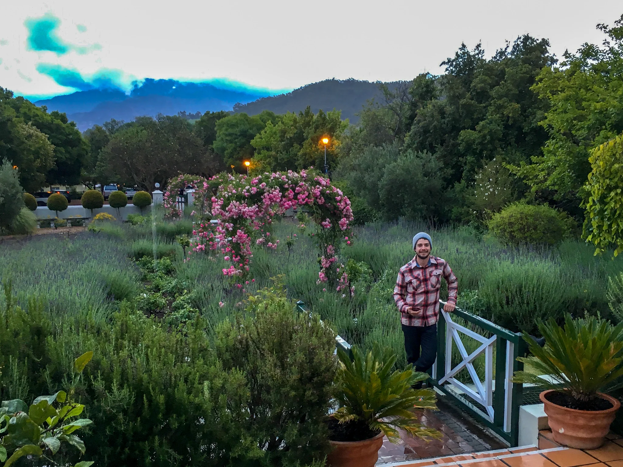Cocktails for an Evening | South Africa Vineyards
