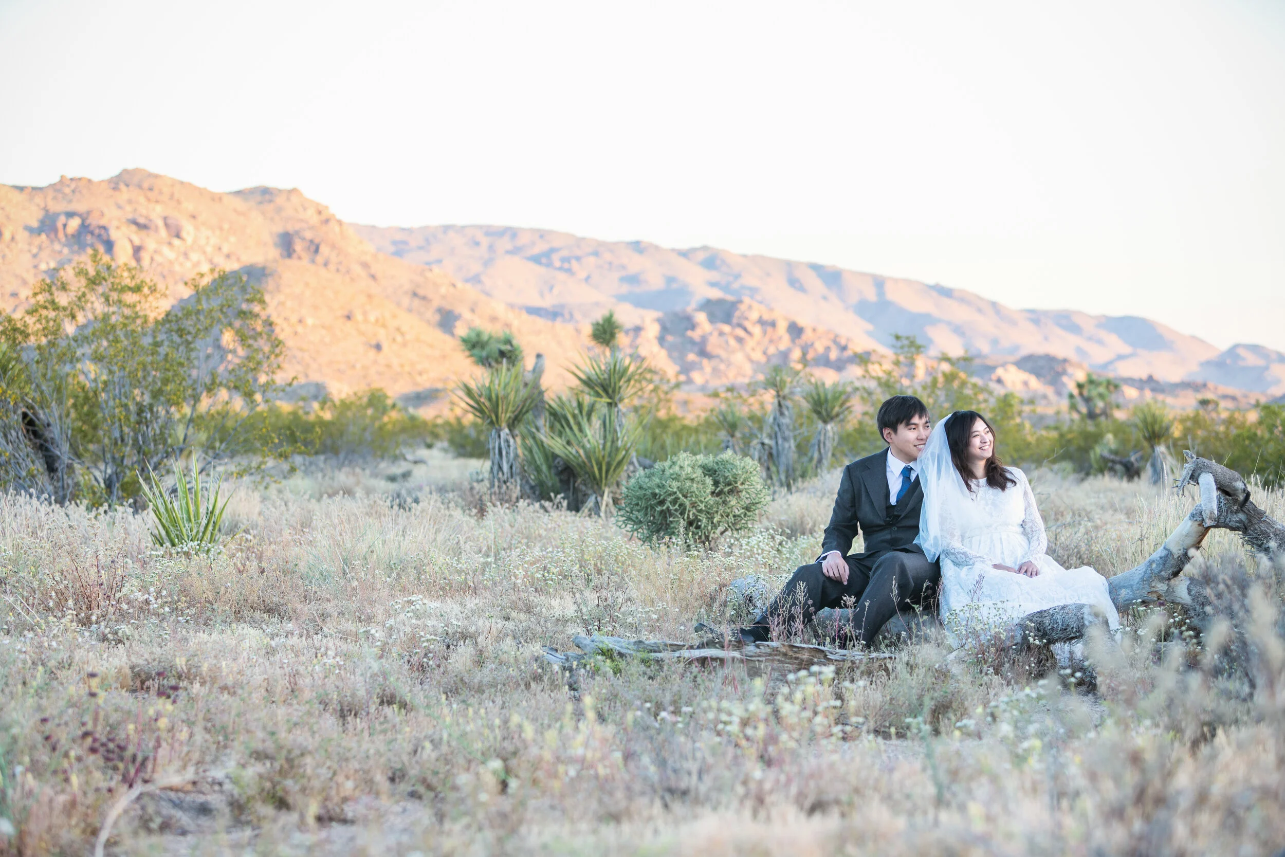 2019_Miaw and Shu Lin_Joshua Tree_DS6A1374.jpg