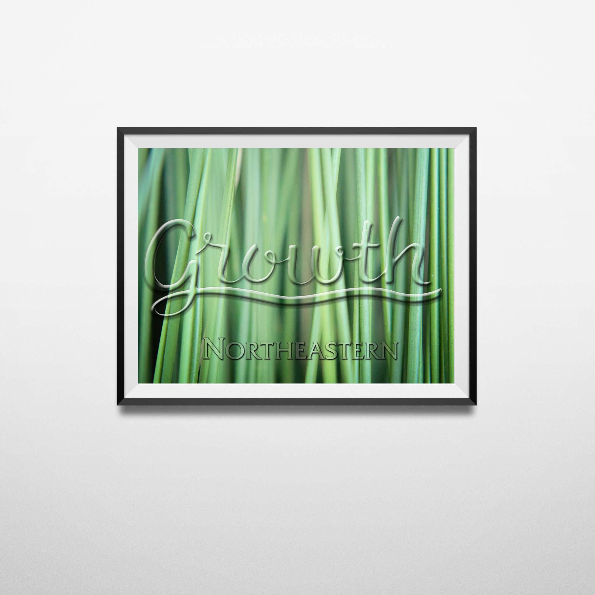Design: Growth Classroom Poster