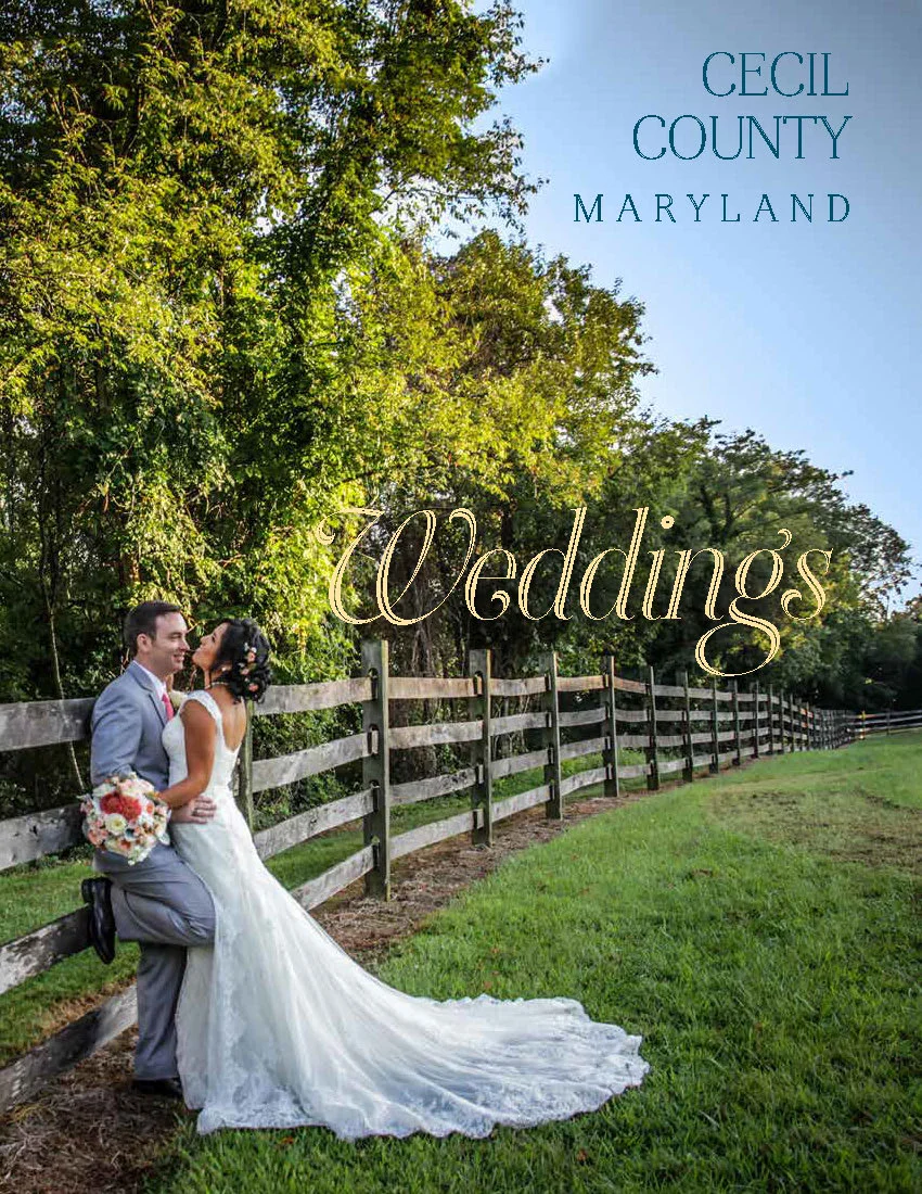 Introducing the new Cecil County Book!